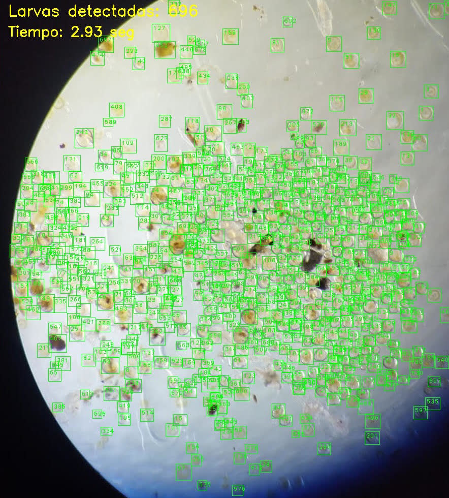 Conteo automático de 696 larvas en una muestra de laboratorio